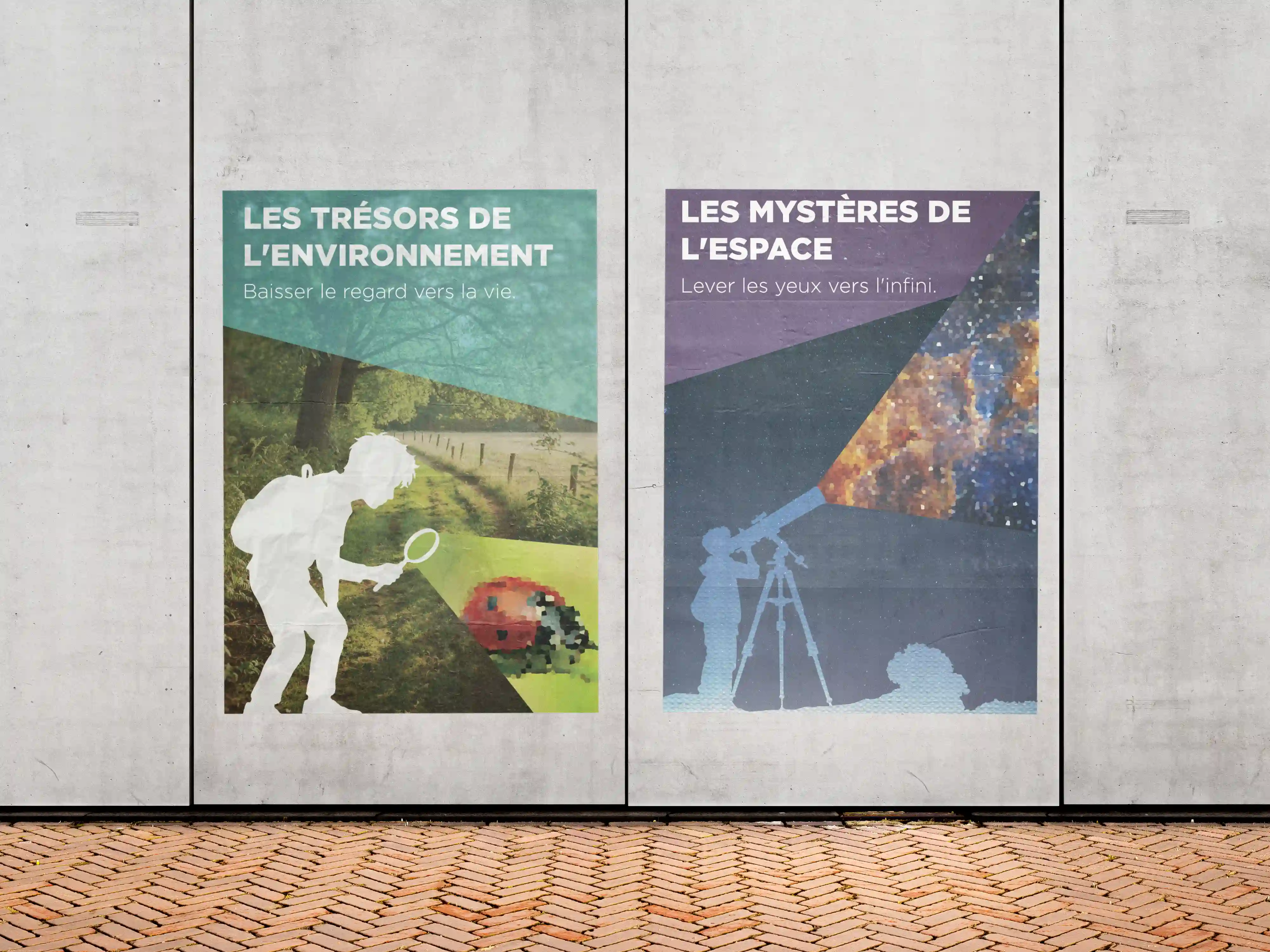 Aperçu du projet Affiches Exposcience